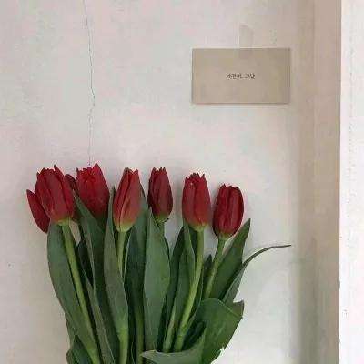 全城枪战变态版手游下载